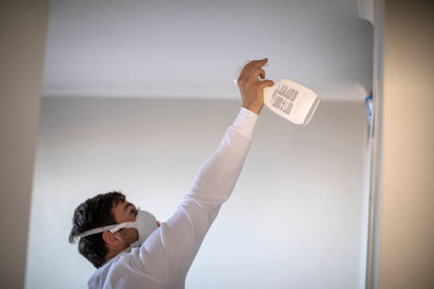 Best Mold Remediation for Specific Building Types in Willard, MO