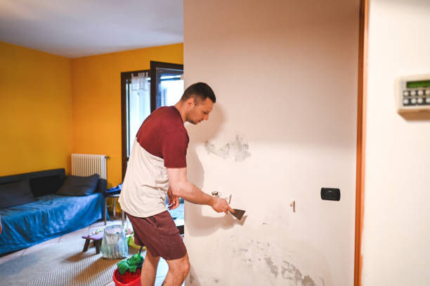 Best HVAC Mold Remediation in Willard, MO